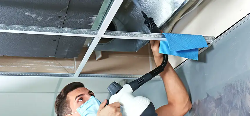 Our Air Duct Rodent Removal Services in Rialto, CA