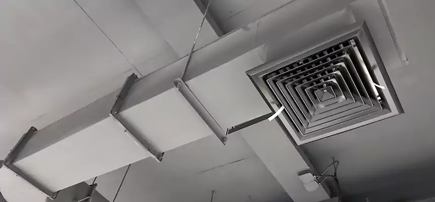 Our Pest Removal From Ducts Services in Rialto, CA