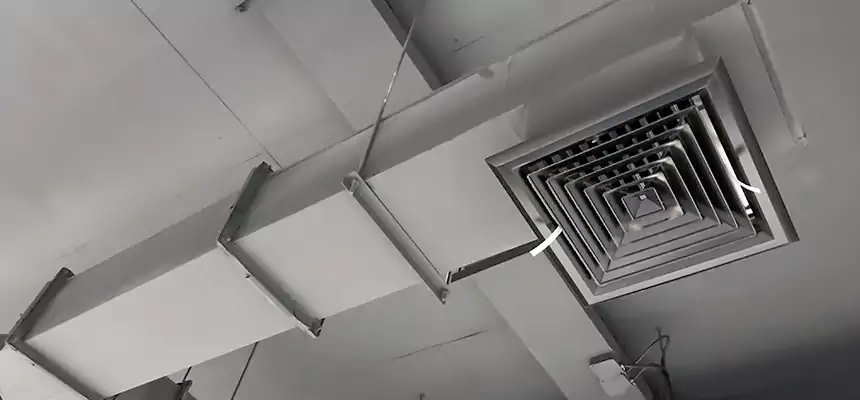 Our Rodent Droppings In Vents Services in Rialto, CA