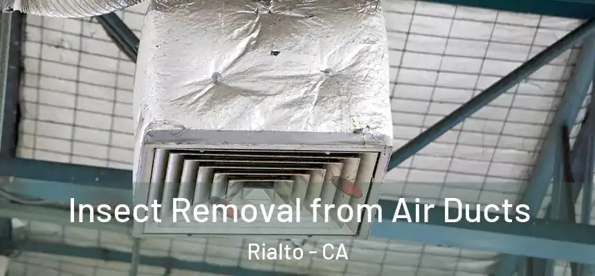 Insect Removal from Air Ducts Rialto - CA