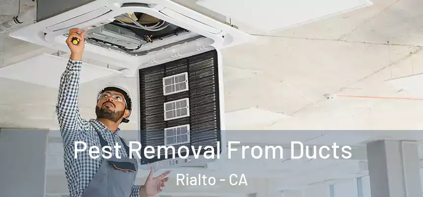 Pest Removal From Ducts Rialto - CA