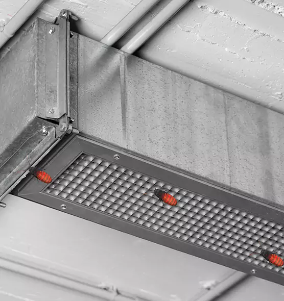 About Air Duct Cockroach Removal in Rialto, CA
