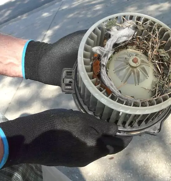 About Air Duct Rat Removal in Rialto, CA