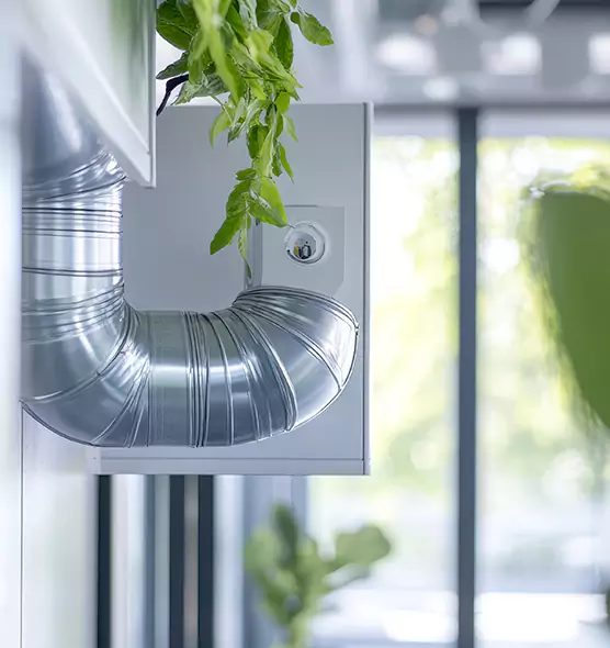 Professional Eco-Safe Dryer Vent Cleaning in Rialto, CA