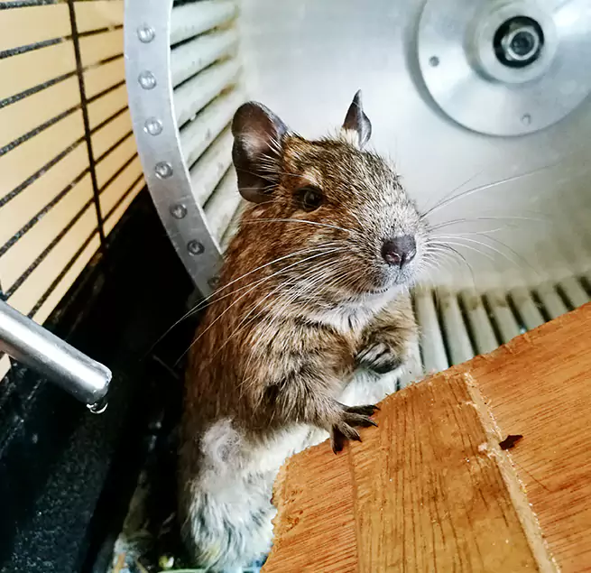 Why Homeowners & Businesses Trust Us Rialto, CA?