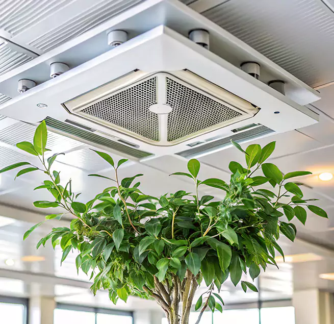 Why Homeowners & Businesses Trust Us in Rialto, CA